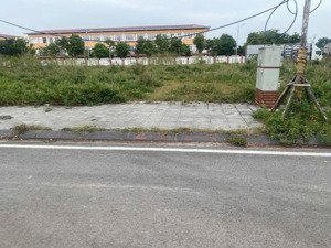 bán gấp đất đấu giá tại thụy lâm, đông anh, hà nội, 8,075 tỷ, 87,5 m2 và lk6-19 2 lô nhé 