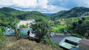 cần bán đất view rừng thông đẹp xây villa trung tâm đà lạt