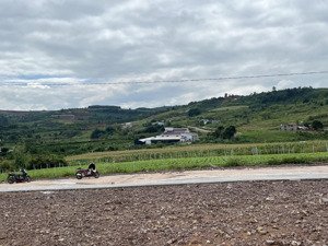 chạm đến giấc mơ nhà vườn đất đẹp tân hà, lâm hà chỉ 630 triệu