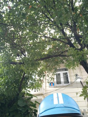 bán nhà mới nguyễn hữu dật, khu biệt thự cao cấp, 7x18m, đường vỉa hè 14m, 15 tỷ nhỉnh