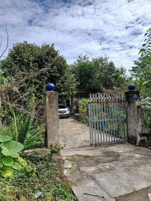 bán đất thổ cư sổ hồng riêng công chứng ngay tại ngân hàng! cần bán nhanh nên giảm ngay còn 3tỷ3