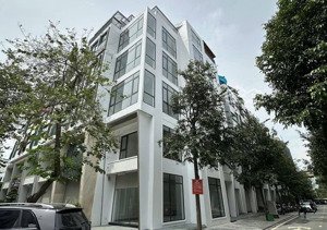 mời thuê tòa nhà vp 6 tầng lô góc thang máy, dt 100m/1 tầng kinh doanh sầm uất giá 55 triệu