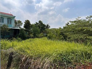 qsdđ thuộc thửa đất số 588, tờ bản đồ số 1 tại địa chỉ xã bình mỹ, thành phố hồ chí minh