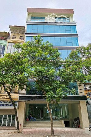 phó đức chính, chính chủ cho thuê tòa nhà 7 tầng x 100m mặt tiền 7m full kính cực đẹp giá 110 triệu