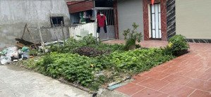 đất tiên hội, cạnh vin cổ loa, ô tô vào đất, 45m, 3 mặt thoáng, giá 4,9 tỷ