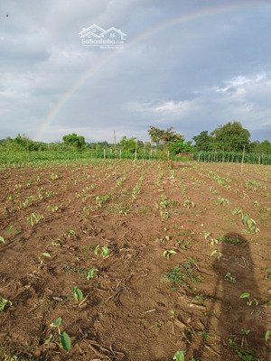 bán đất tại đt 764, 999 triệu, 1000m2, pháp lý đầy đủ, hàng hiếm tại cẩm mỹ, đồng nai