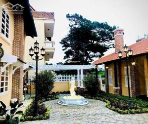 Bán biệt thự 621m² hẻm ô tô lớn đường Khe Sanh, P.10, Đà Lạt – view đồi thông, sổ riêng