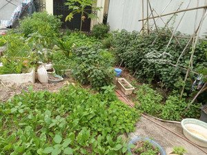 bán đất đẹp, 6 tỷ, 100m2 tại ngọc động, đa tốn, gia lâm, hà nội