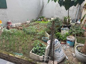 bán mảnh đất đẹp của thôn du nội -mai lâm - đông anh - hn.