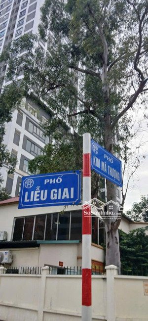 bán nhà phố liễu giai trung tâm ba đình 100m 9 tầng giá chỉ 68 tỷ