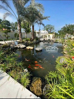 nhà sân vườn nghỉ dưỡng tdm 1041m2 có sẵn khuôn viên tiểu cảnh hồ cá koi cực kỳ đẹp giá 13,9 tỷ