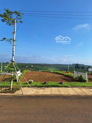 bán mảnh đất vườn nghỉ dưỡng view săn mây tại bảo lộc giá 19tr/m2, dt 200m2, full thổ