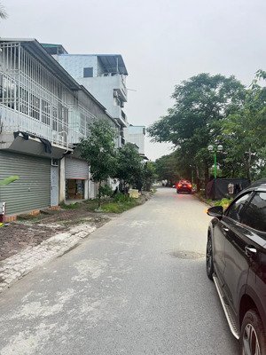 bán đất phân lô tại kđt tây nam linh đàm, 60m2, mt 5m, vỉ hè rộng, kinh doanh mọi loại hình, 21 tỷ