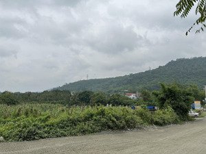 hoà sơn, lương sơn : 1365m2 - 2 mặt tiền - đường nhựa 8m