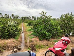 đất nền bán tại xã bình hòa nam, đức huệ, long an (cũ), 110 triệu, 300m2