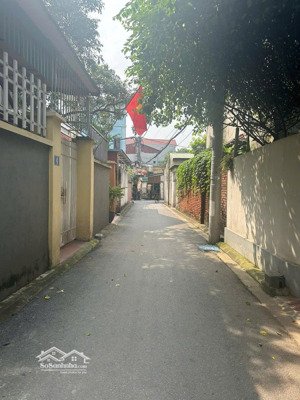 bán đất tại thị trấn trâu quỳ, gia lâm, hà nội, 185 triệu / m2, 60 m2, hàng hiếm view đẹp