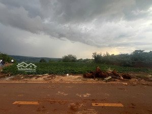 sang nhượng đất liên hà, lâm đồng