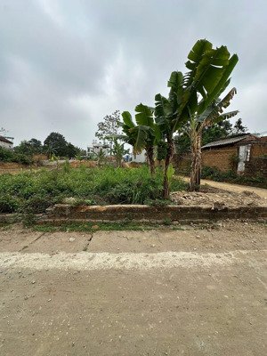 lô góc có 102 tại tân xã - thạch thất giá chỉ 3x/m2 - hàng chính chủ