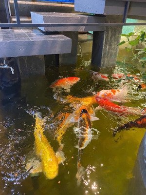 - phước kiển, nhà bè,chủ xây kiên cố ở, phong thuỷ tốt có rải đá thạch anh các tầng đổ tấm 80m2