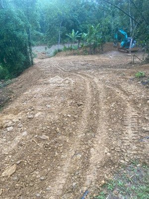 chính chủ bán lô đất 2,400m2, mt 120m, đất ở 2000m2 tại điền lư, bá thước, cách chợ điền lư 400m