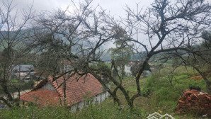 gia đình chuyển về quê, cần bán gấp mảnh đất đẹp ở ô quy , sapa