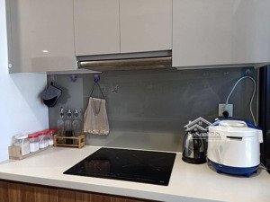 bán căn hộ eco green sài gòn, 5,4 tỷ, 65m2, 2pn, 2wc, nội thất đầy đủ tại q7, tp.hcm