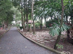 định cư nước ngoài cần bán nhanh lô đất giá tốt chính chủ bán tại xã tân thông hội, củ chi