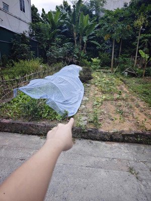 bán đất tại tam hưng, thanh oai, hà nội, giá ưu đãi 65 triệu / m2, 70 m2, sát chợ, đường liên xã