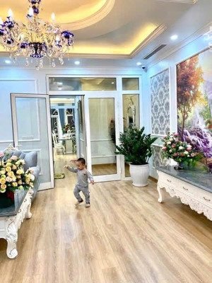 cho thuê btlk bên louis đủ đồ, dt 120m2 x5tầng giá 32tr c2tt3 lh: 