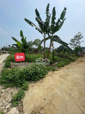 siêu phẩm lô góc tân xã giá chỉ 3,x tỷ