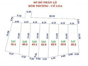 hót!hàng hiếm phân lô cổ loa đông anh sát hồ điều hòa vị trí vàng giữa lòng cổ loa cách vin 3km
