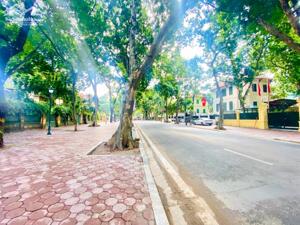 BÁN GẤP NHÀ RIÊNG PHÂN LÔ PHỐ PHAN ĐÌNH PHÙNG QUÁN THÁNH BA ĐÌNH 60M MT 8M SAU NHÀ MẶT PHỐ