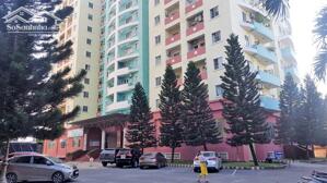 Bán sàn thương mại 489m2 và sàn nhà trẻ 863m2 chung cư An Lạc, quận Bình Tân. Sổ hồng