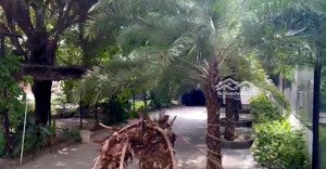 cho thuê nhà mặt tiền đường đặng thúc vĩnh , hócmôn , dt: 1,500m2