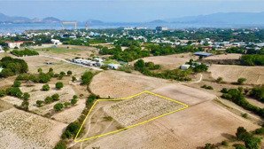 cần bán 2381m2 tại phường cam ranh, khánh hòa (phường cam phúc nam cũ)