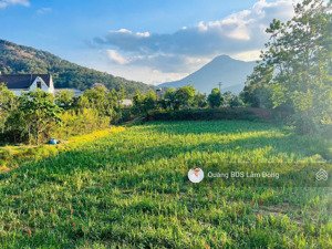 bán đất 6000 m2 tại định an, xã hiệp an, đức trọng, lâm đồng, giá 17,5 tỷ