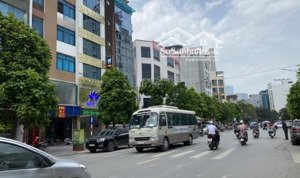 bán nhà xuân thủy, 210m2, 4t, mt 15m, xây ccmn đẹp, 166tr/m2.