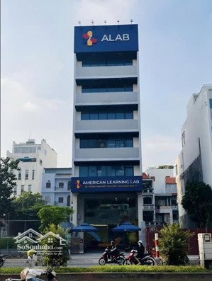 tòa nhà khu sân bay mt trường sơn, tân bình, 6x25m, hầm + 7 tầng - hđt: 175 triệu, giá 52 tỷ