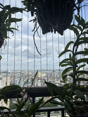 cần bán căn hộ 2pn dt 88m2 view hồ tây toà ecolife tây hồ