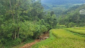 dt :2500 m2, view ruộng bậc thang săn mây chill thế đất cao bám suối nằm trong quần thể du lịch