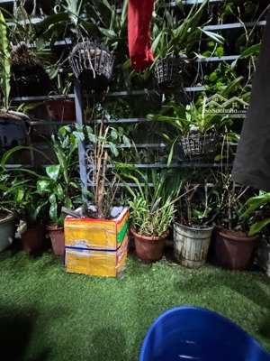 ô tô đỗ cửa phố tân khai nhà đẹp 2 thoáng lô góc kinh doanh ngõ thông 45m2 x3t giá nhỉnh 4 tỷ tặng