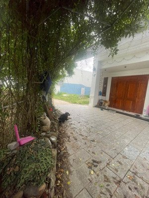 đất vĩnh hiệp , phường tây nha trang chỉ 1 tỷ 950 - diện tích : 95,3m2 ( ngang 6,8 ) oto tận nơi