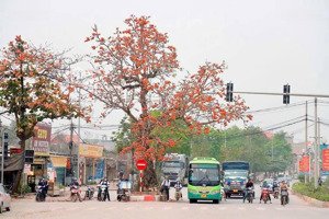 chính chủ gửi bán nhanh lô đất đẹp ngay chân cầu thượng cát đang khởi công