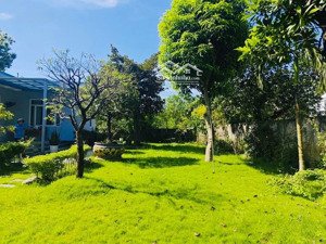 880m đất phú cát sẵn khuôn viên nhà vườn chỉ việc ở giá chỉ 1x triệu