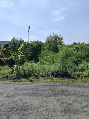 Bán đất đường D4 phường Phú Hữu Quận 9 cũ giá 26,4 tỷ