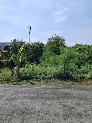 bán đất đường d4 phường phú hữu quận 9 cũ giá 26,4 tỷ