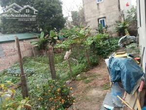  SIÊU HIẾM – LÔ ĐẤT ĐẸP TRUNG TÂM ĐA TỐN – GIA LÂM – HÀ NỘI 