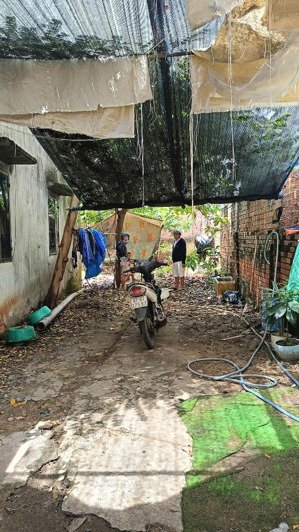 chính chủ cần tiền, bán gấp đất ngay bệnh viện lê văn thịnh, diện tích 84m2 giá 4,5tỷ