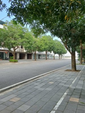 bán gấp shophouse thung lũng mùa xuân ecopark, 105m², gần đoàn thị điểm, giá chỉ 17 tỷ