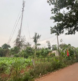 khu dân cư hiện hữu đường nhựa 4m